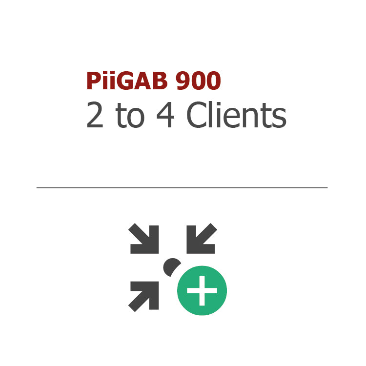 2 to 4 Clients/ License