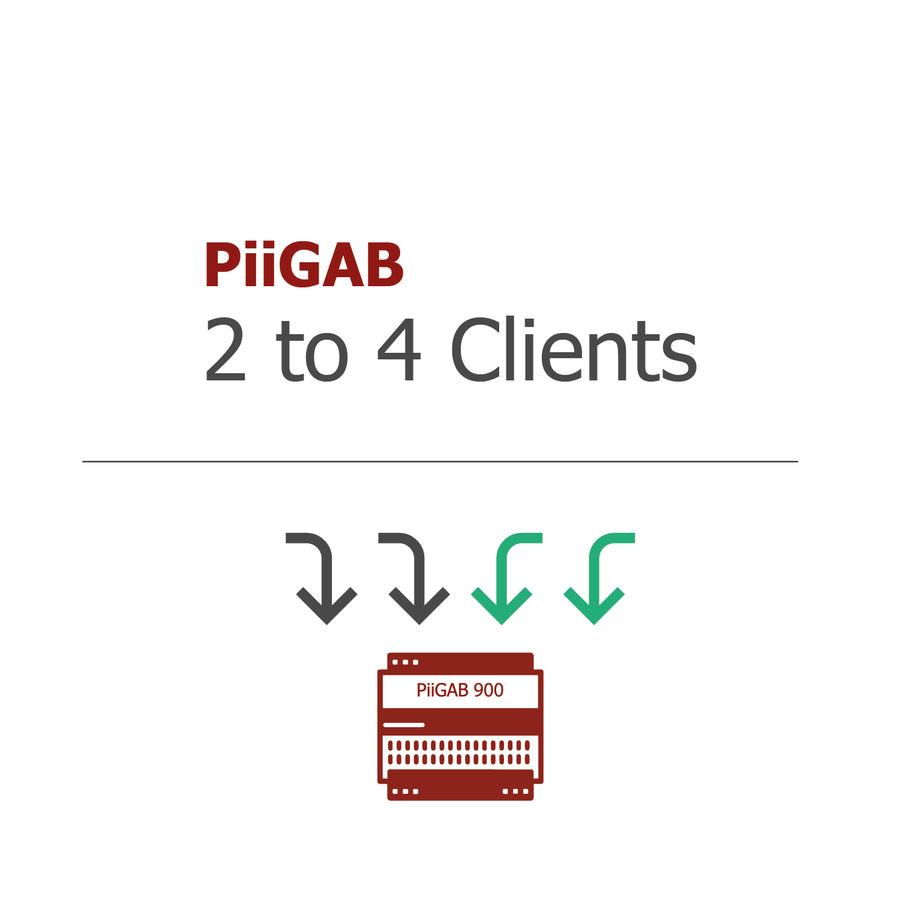 2 bis 4 Clients